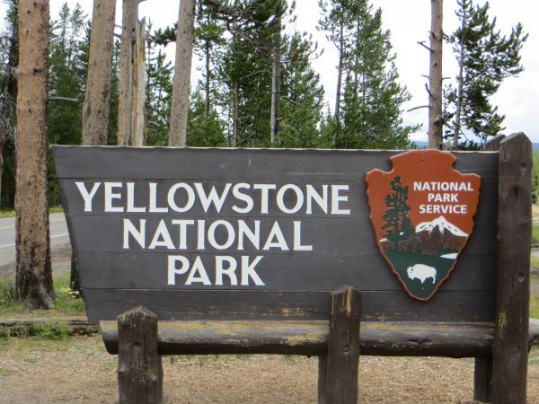 Yellowstone July 2015 (13)