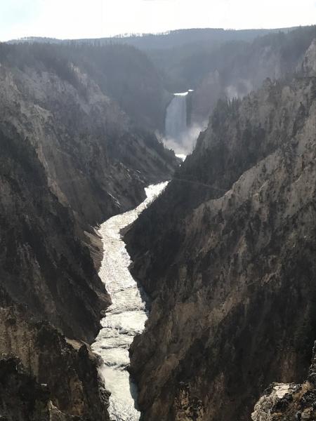 The Lower Yellowstone Falls